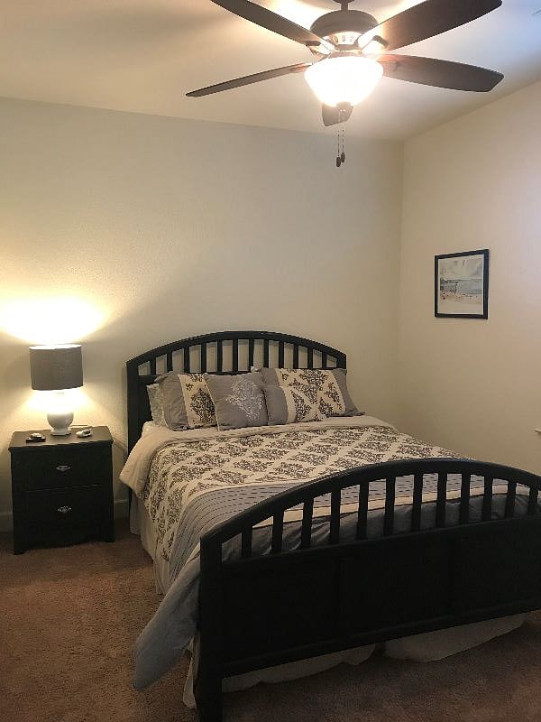 Furnished Finder property 244567_1 photo 15