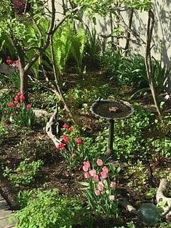Spring at Ten Ten on the Green