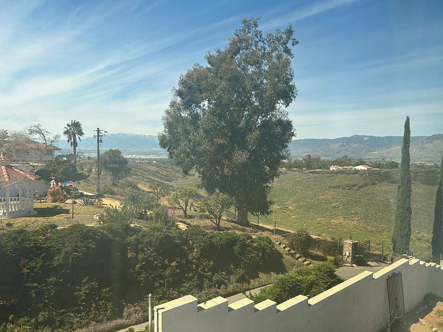 NW view from bedroom window