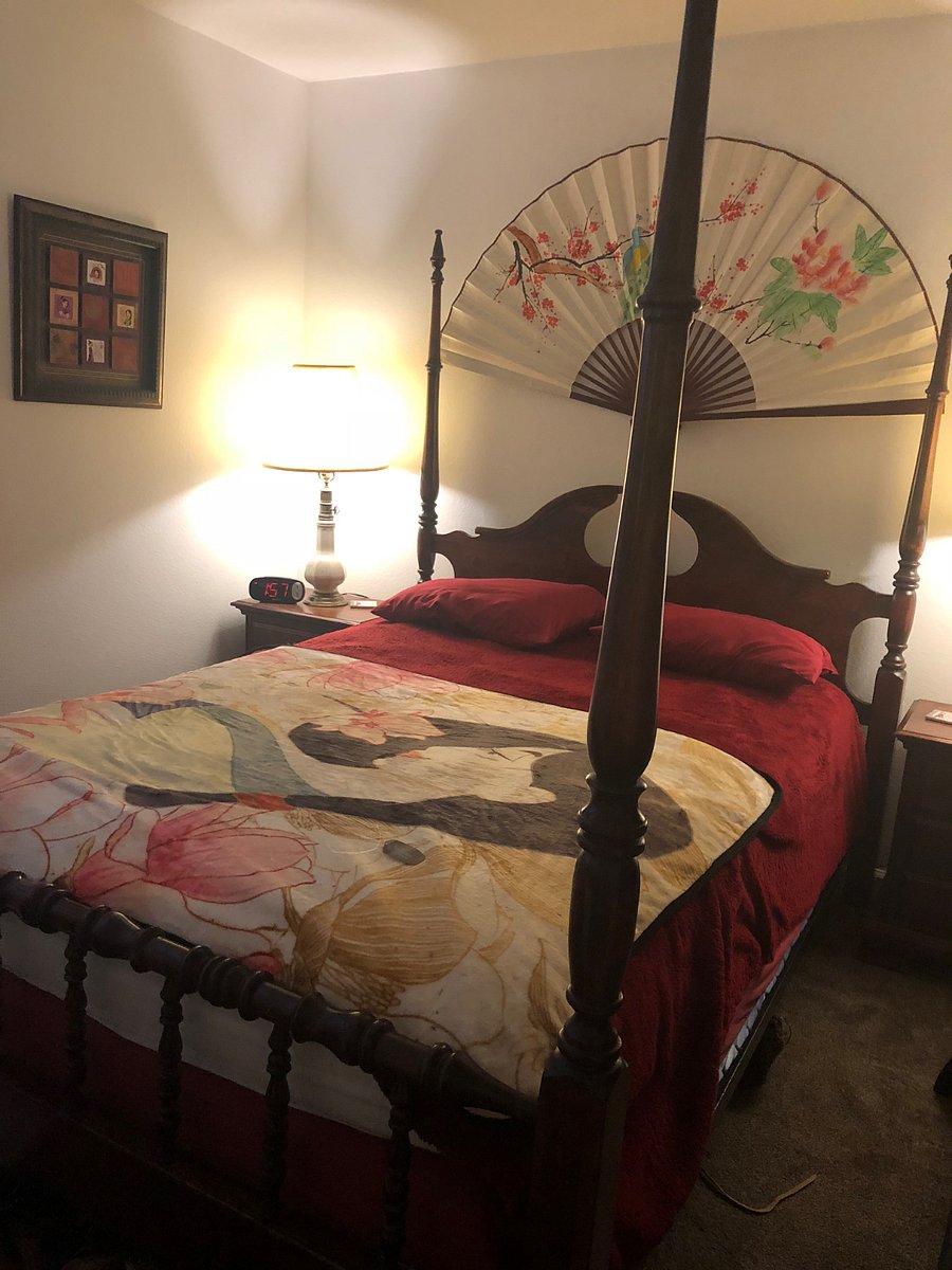 Furnished Finder property 245109_1 photo 18