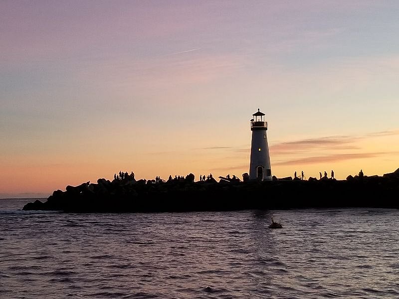 Harbor Jetty