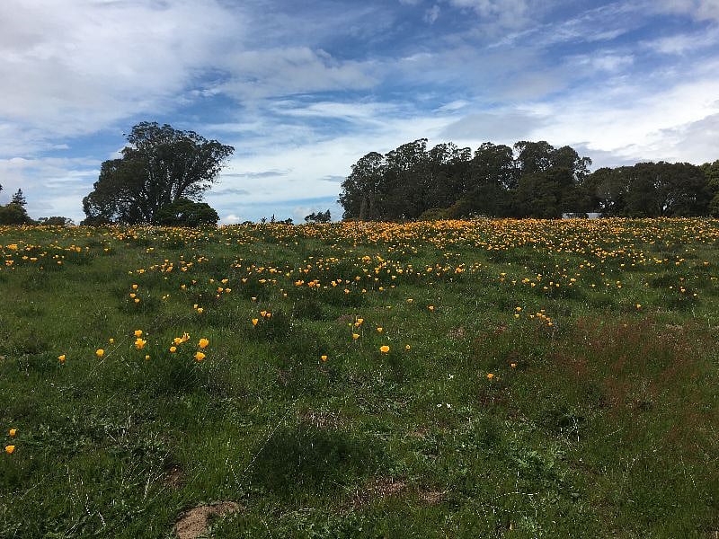 Arana Gulch. Very nice walk to the Harbor and beach.