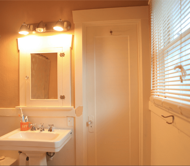 Jack-n-Jill bath with shower and tub.