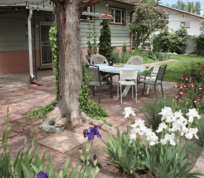 Furnished Finder property 245780_1 photo 15