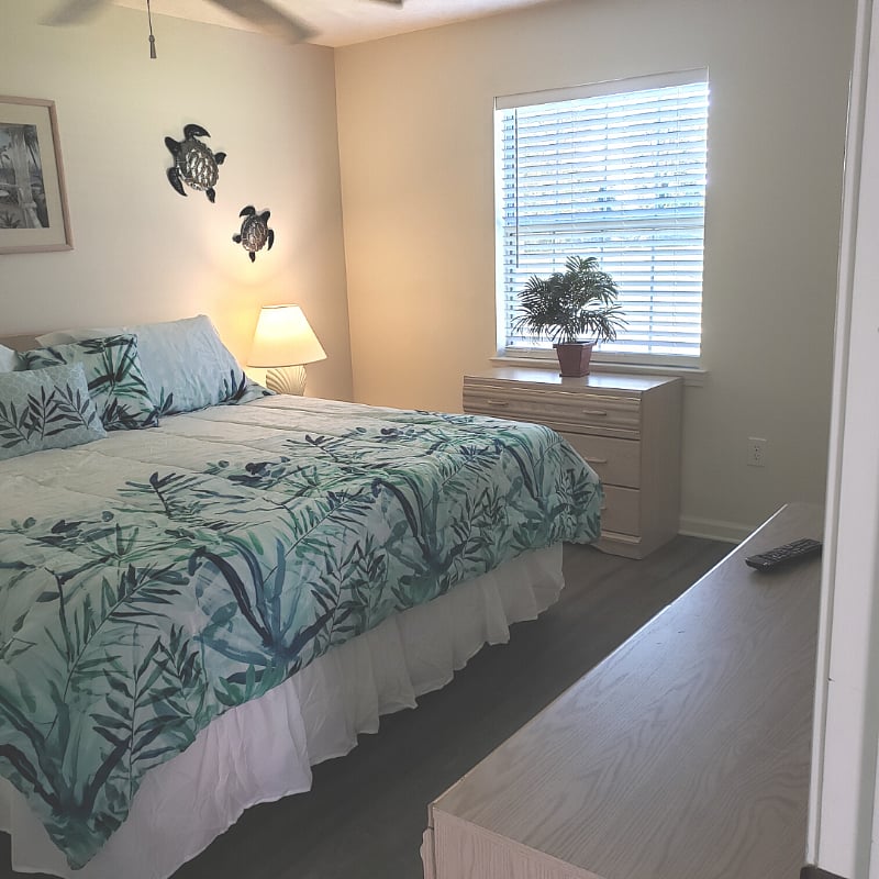 Furnished Finder property 246074_1 photo 15