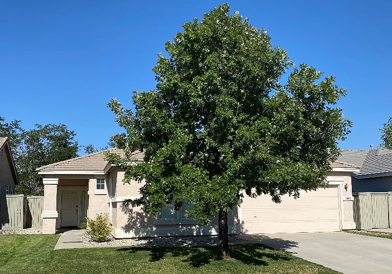 The front of the house has great curb appeal to welcome you home after a day or work or play.