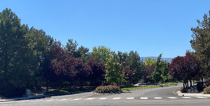 The Neighborhood.
The home is situated in a quiet, safe neighborhood with tree-lined streets, walking paths, and nearby parks. No parties or late-night noise is allowed. Please only rent this home if you also want a quiet, peaceful place to live.