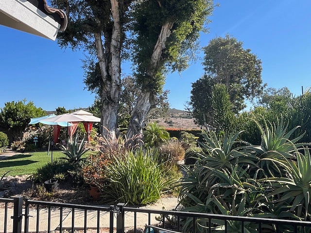 Main house backyard (for your use) and back gate leading to Mission Trails park across the street