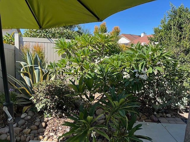 Furnished Finder property 246211_1 photo 19