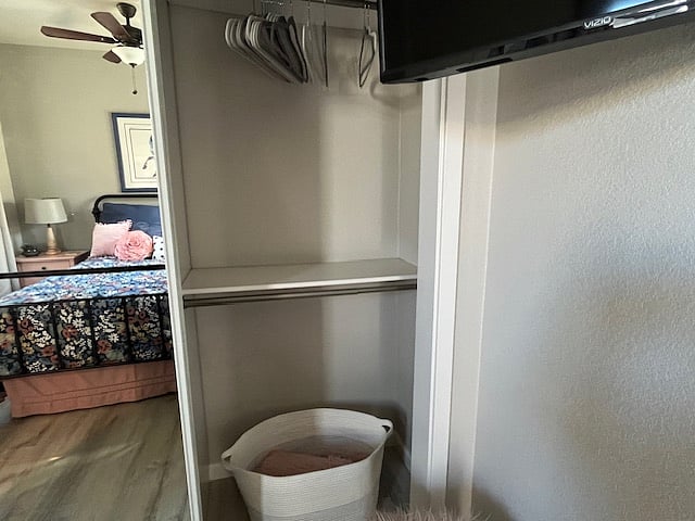 closet with hanging space