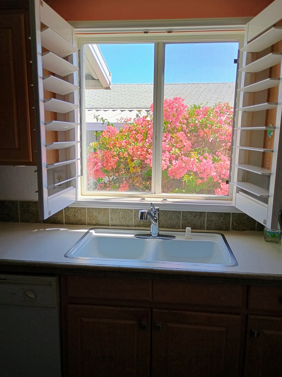 Furnished Finder property 246360_1 photo 3