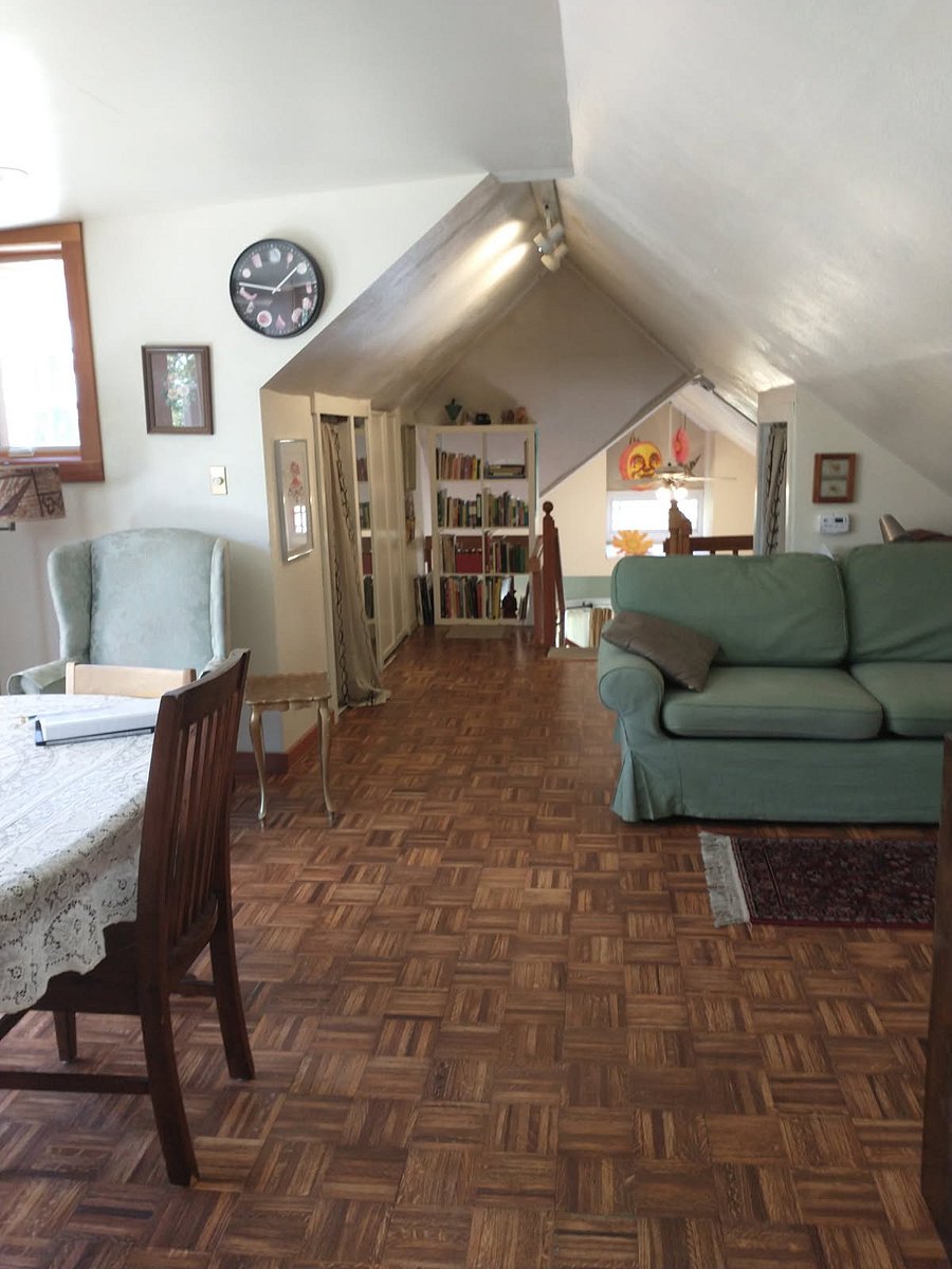 Living area with dining table and sofa bed.
