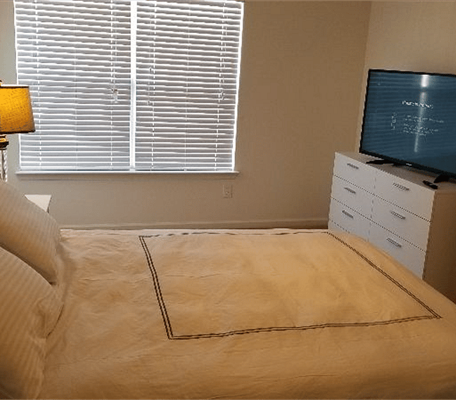 Furnished Finder property 246626_1 photo 7