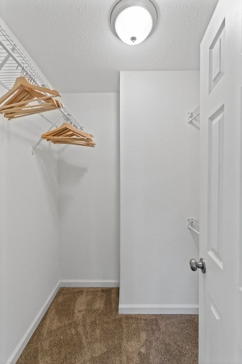 Furnished Finder property 246630_2 photo 13