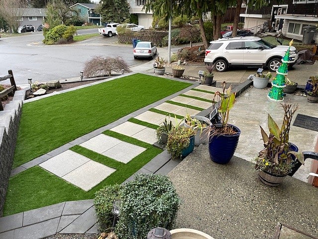 New turf grass