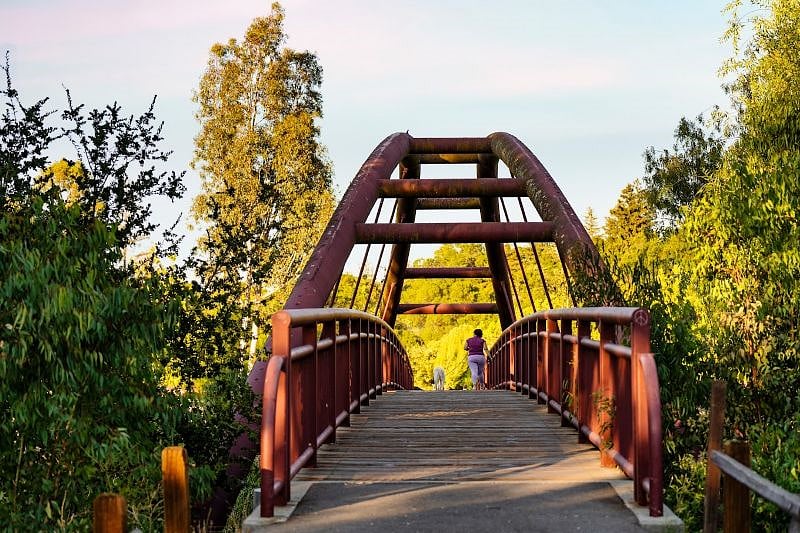 Nearby Vasona Lake Park