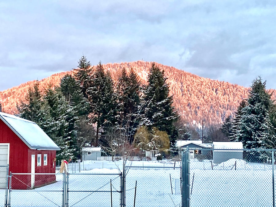 View form the back yard 