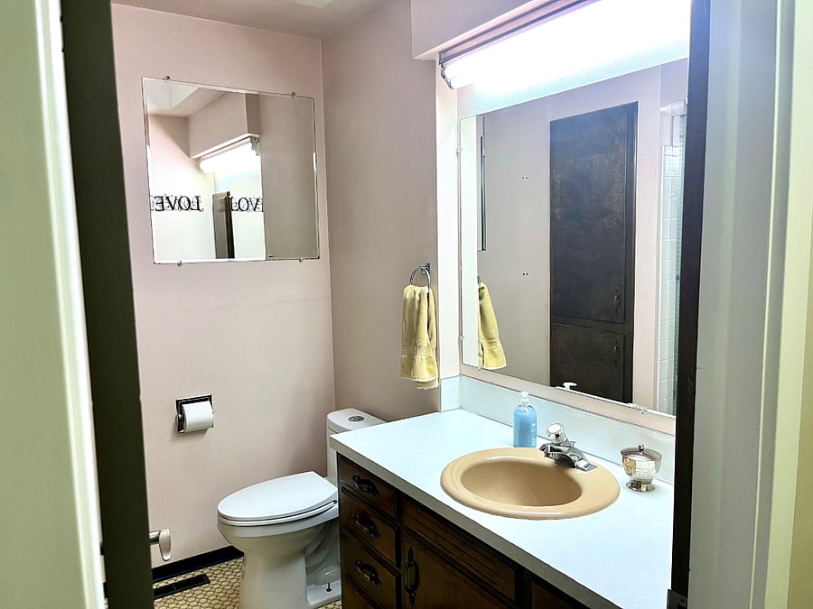 Main level hall bath 