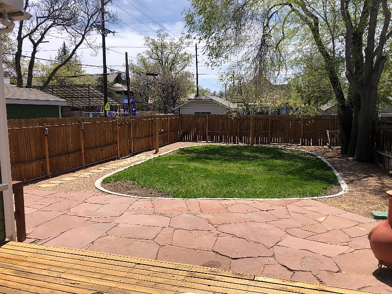 Fenced back yard