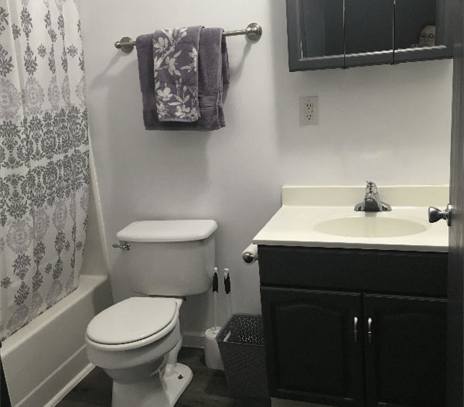 Furnished Finder property 247297_1 photo 10