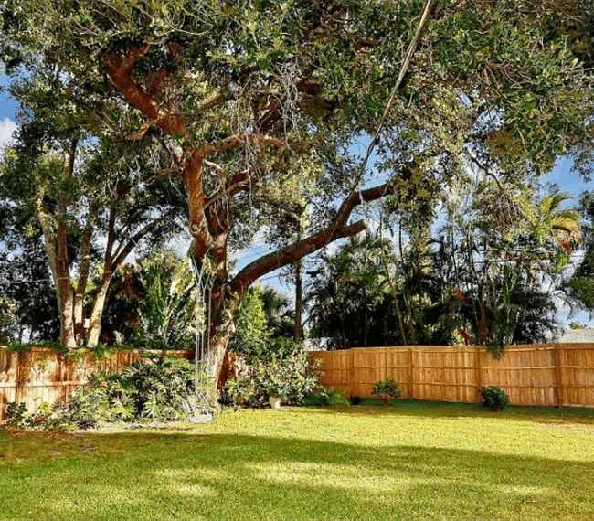 Furnished Finder property 247315_1 photo 17