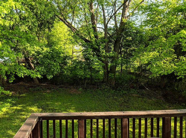 Furnished Finder property 247412_1 photo 11