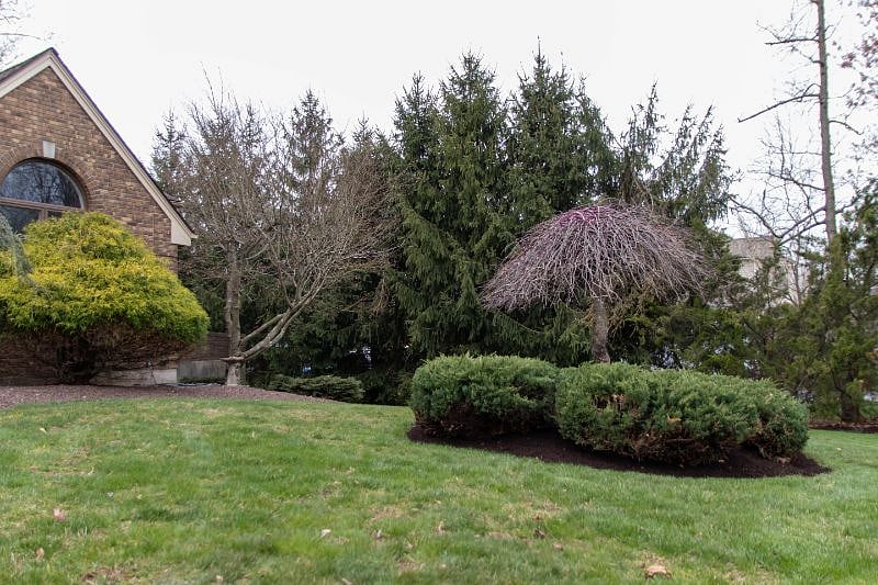 Furnished Finder property 247423_1 photo 47