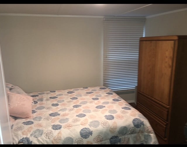 Furnished Finder property 247622_1 photo 15