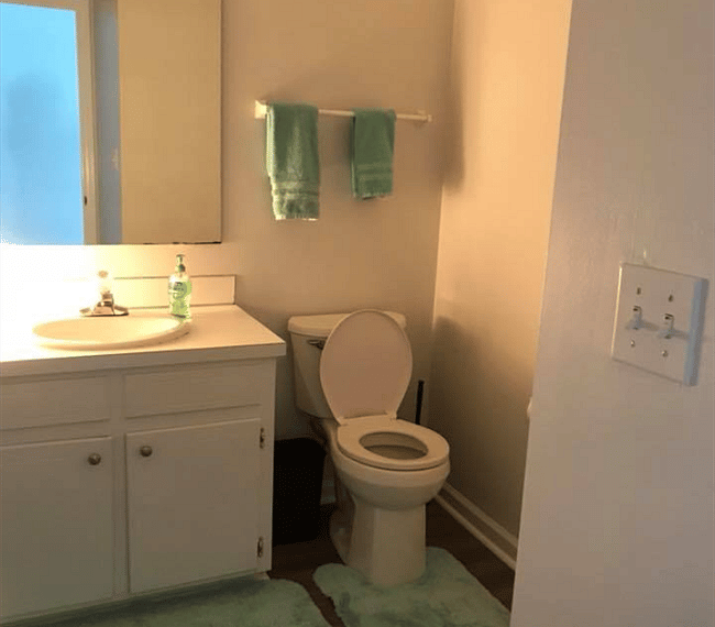 Furnished Finder property 247643_1 photo 11