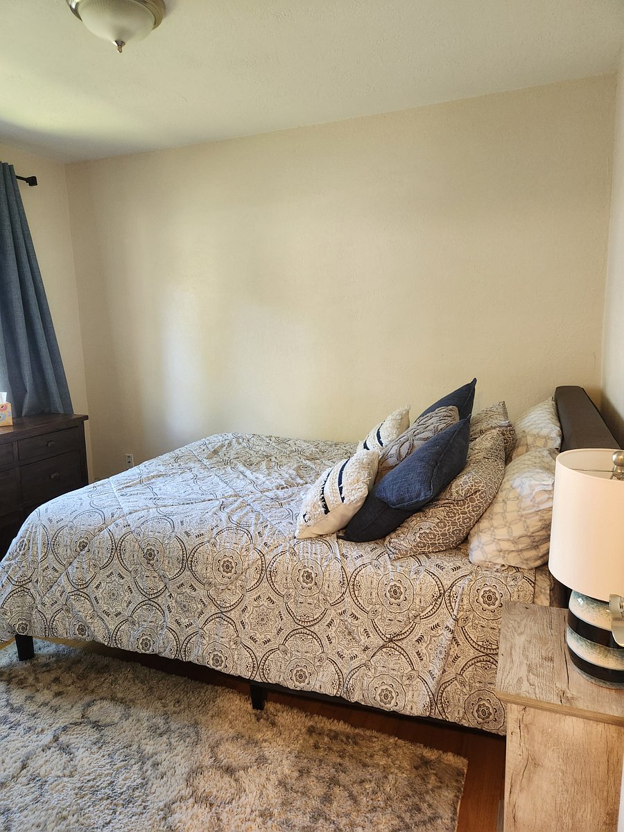 Furnished Finder property 247649_1 photo 28