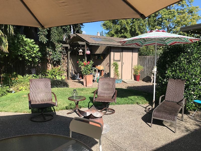 Sunny backyard seating options