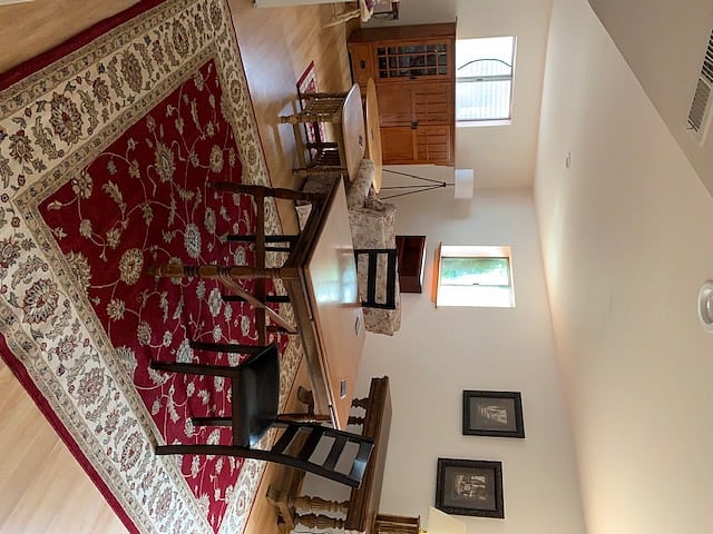 Downstairs Family Room
