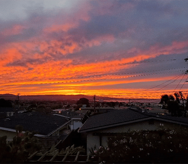 View from your room!
