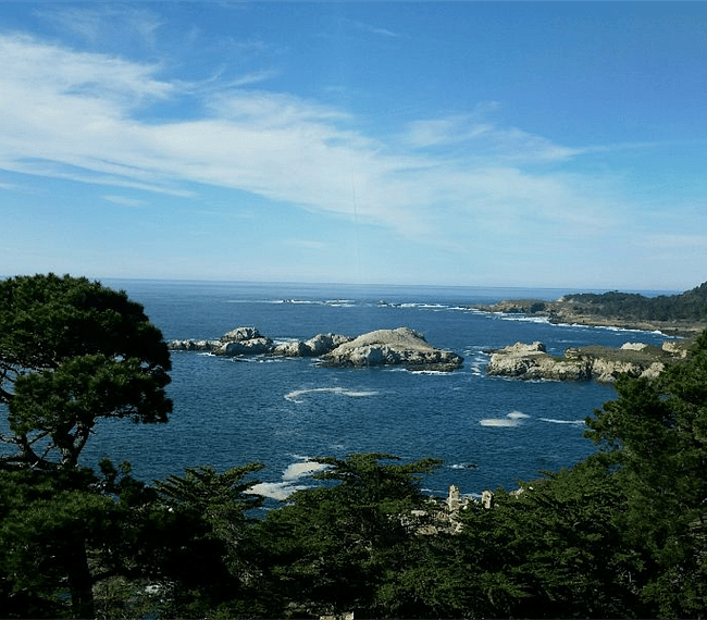 Nearby views of our lovely coastline.