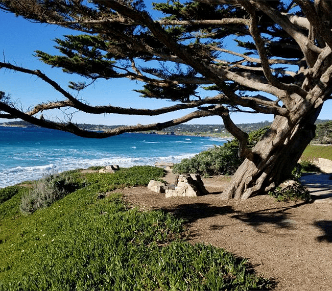 Nearby beaches--this is Carmel 13th Street Beach