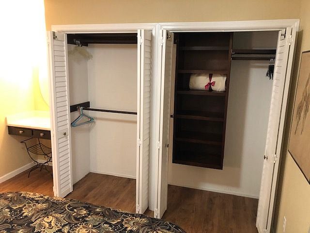 spacious bedroom closet