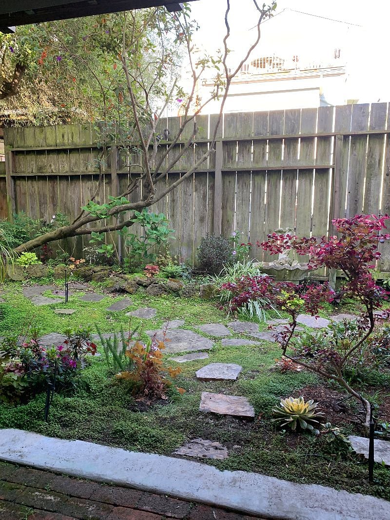 Garden view from the Unit