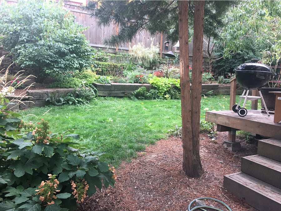 Shared backyard