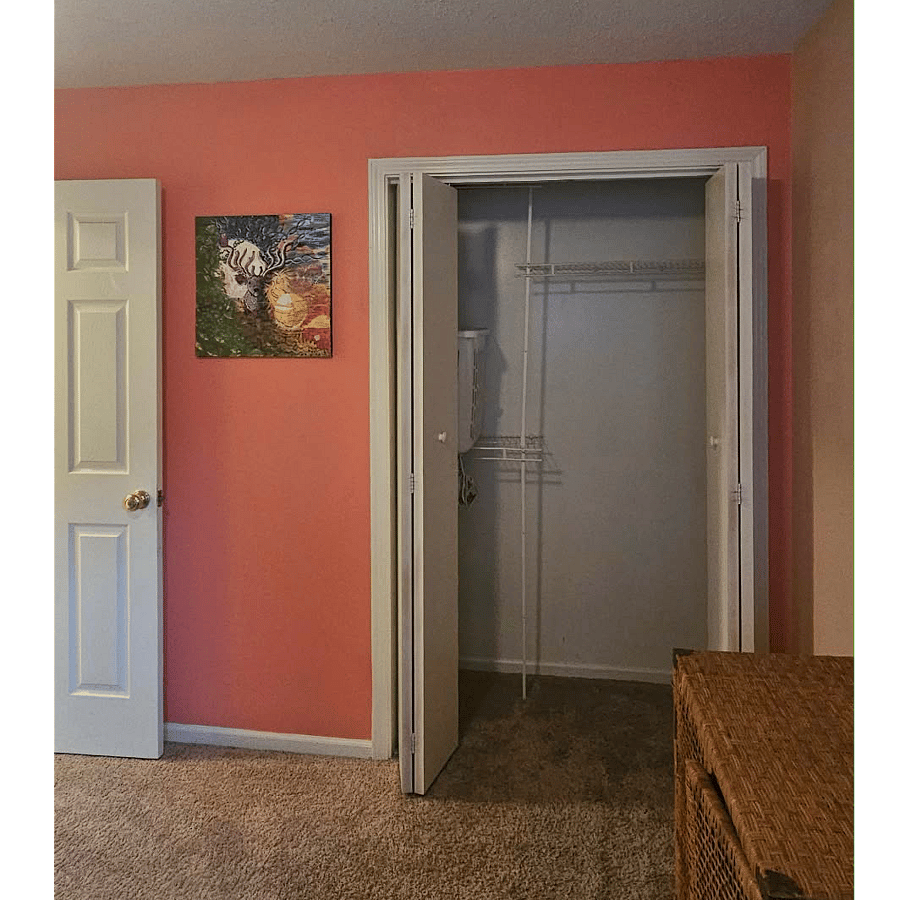 Second bedroom closet
