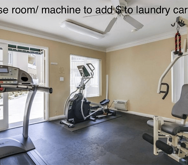 Complex exercise room, elliptical, treadmill, weight machine.