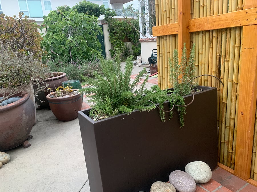 Studio Entrance view of patio