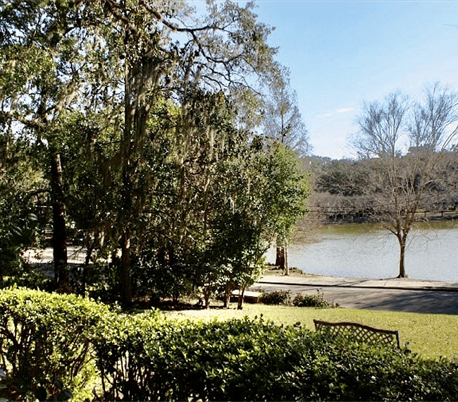 Furnished Finder property 248104_1 photo 6