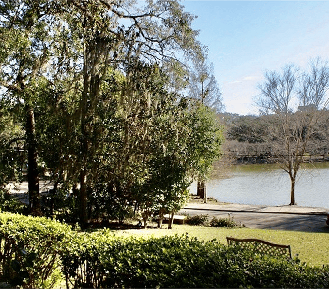 Furnished Finder property 248104_1 photo 12