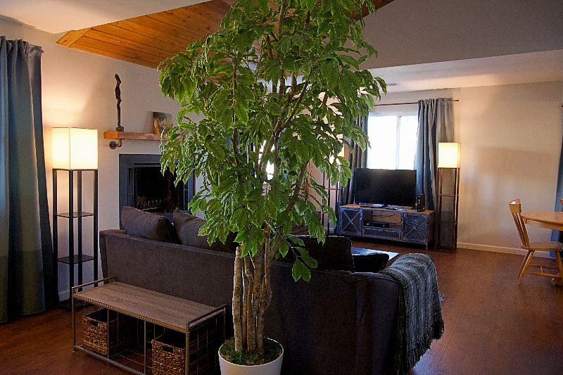 Furnished Finder property 248305_1 photo 7