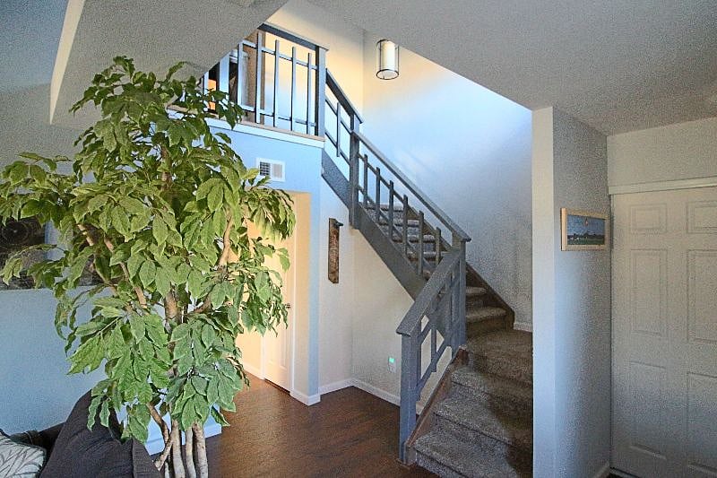 Furnished Finder property 248305_1 photo 14