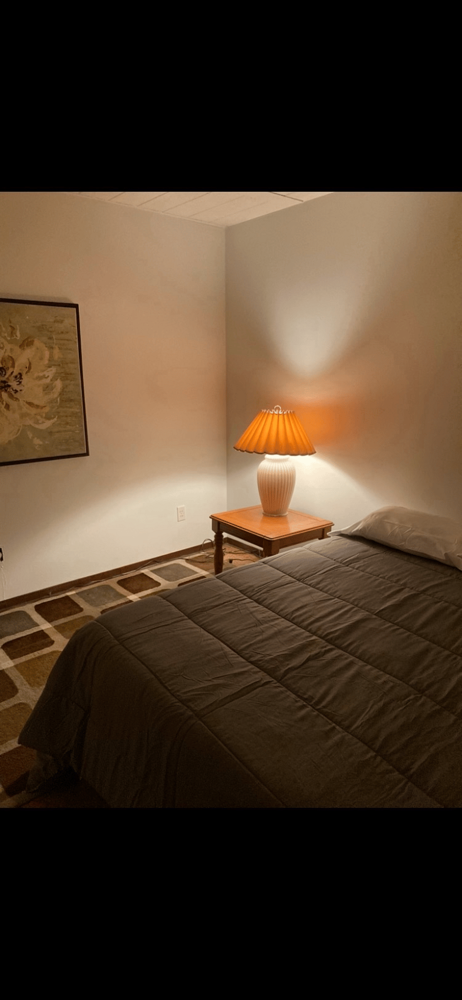 Furnished Finder property 248469_10 photo 5