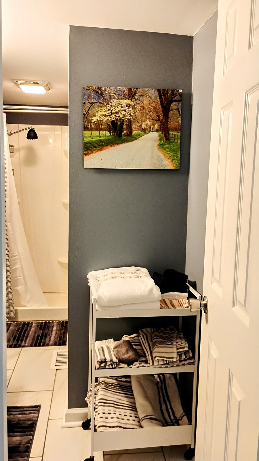 Furnished Finder property 248555_1 photo 9