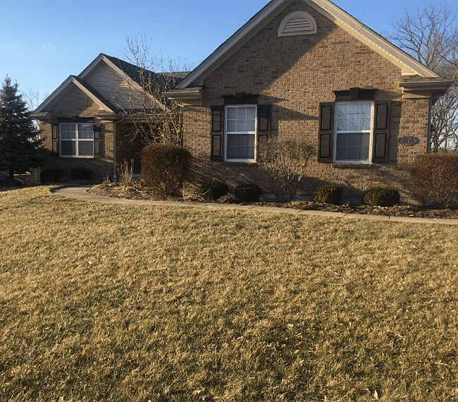 Furnished Finder property 248561_1 photo 18