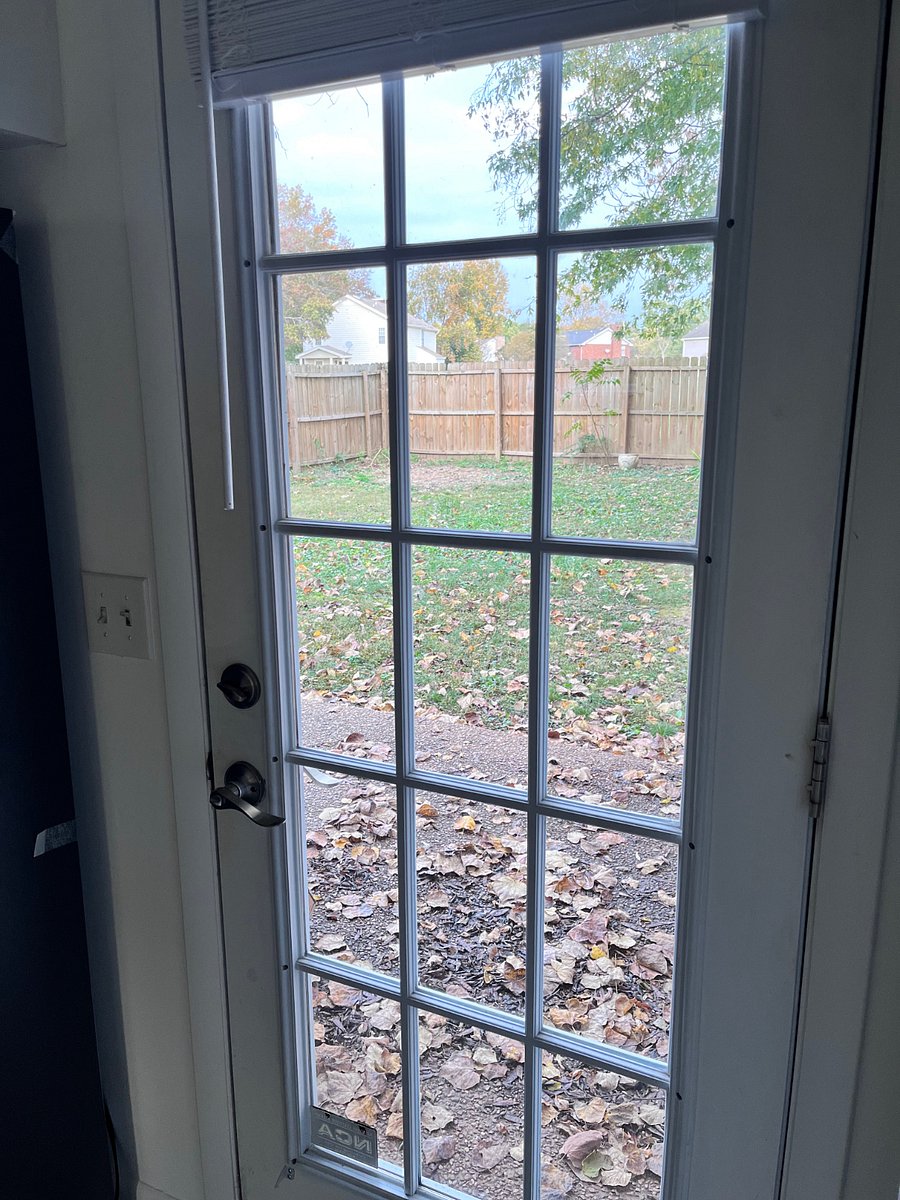 View out back door into back yard