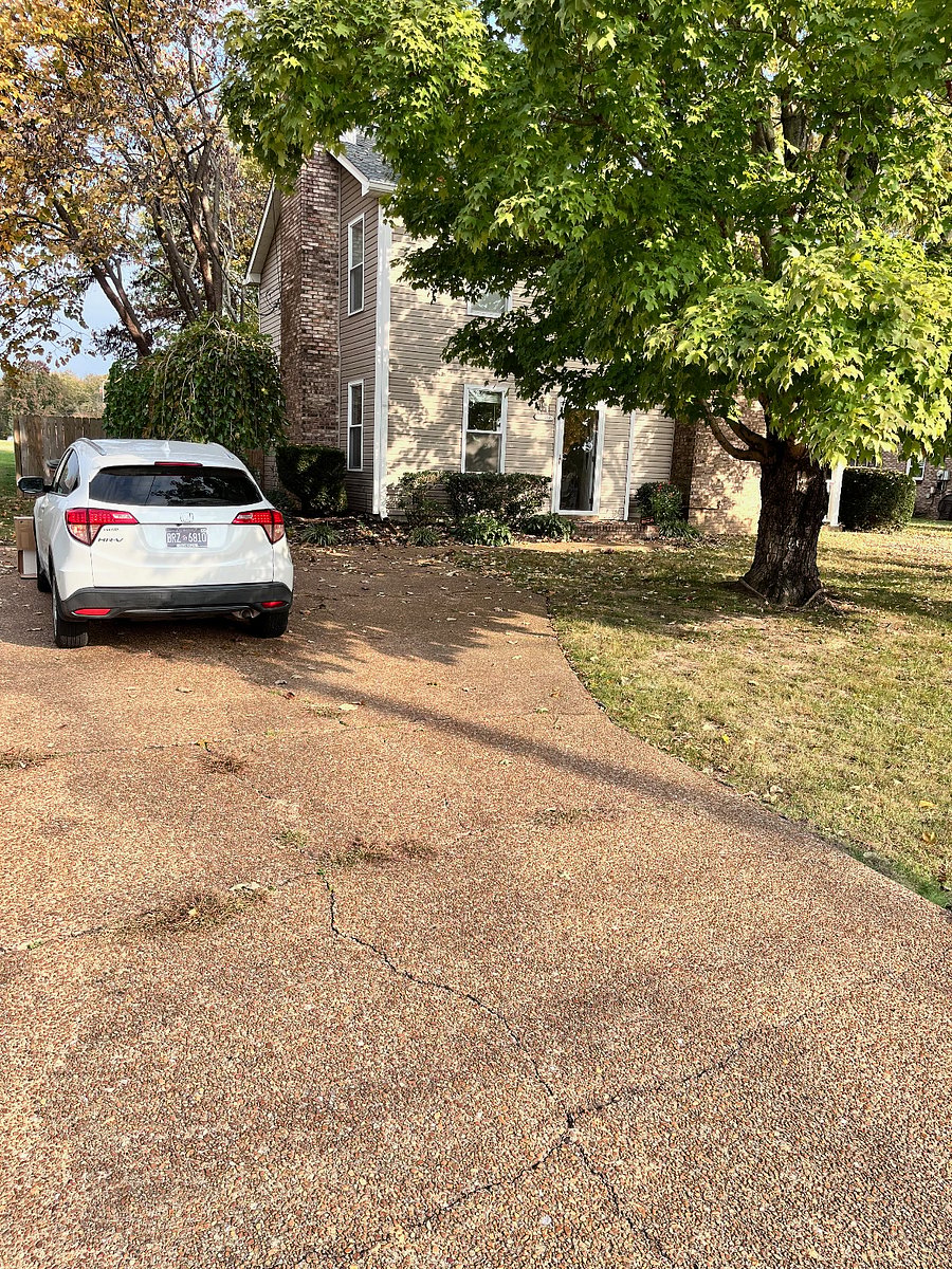 Furnished Finder property 248567_1 photo 12